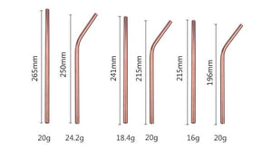 TempFlow Hydration™ Reusable Stainless Steel Straw V2