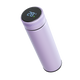 Temperature Smart Bottle - Purple