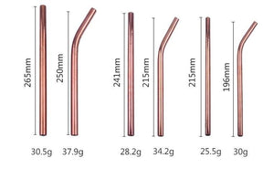 TempFlow Hydration™ Reusable Stainless Steel Straw V2