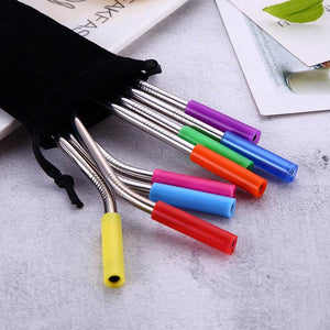 TempFlow Hydration™ Silicone Cover Stainless Steel Straw