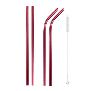 TempFlow Hydration™ Reusable Stainless Steel Straw V1