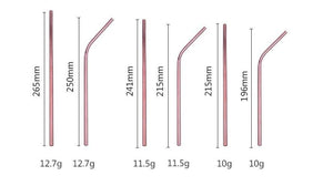 TempFlow Hydration™ Reusable Stainless Steel Straw V2